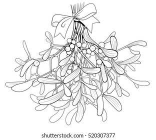 black and white ink isolated illustration of christmas mistletoe bouquet