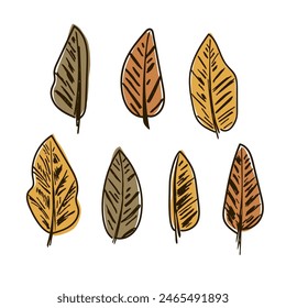 Black and white ink sketch of leaves, plant branches. Outline with color fill, autumn earth tones.  Design elements isolated on white background.