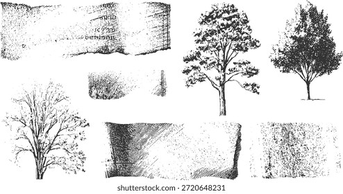 Tinta en blanco y negro de árboles y fragmentos de papel texturizado