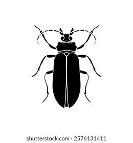 black and white insects vector illustration isolated on white background
