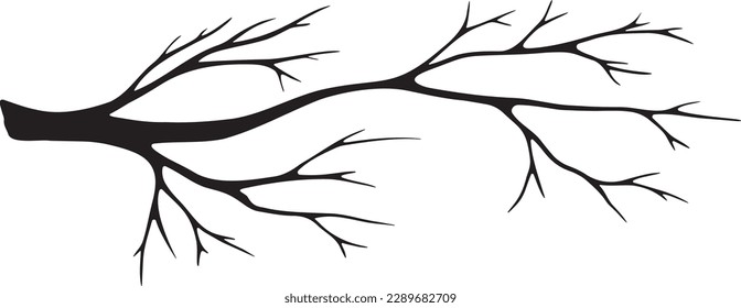 Negro y blanco, aislado, gráfico, ilustración de la silueta de una rama de árbol seco sin hojas. Dibujado a mano. La decoración y el diseño