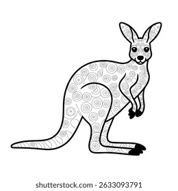 Black and white kangaroo Animal 