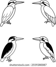 Black and White Kingfisher Bird Line Art Illustration Set