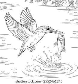 A black and white a kingfisher catching a fish coloring page of a line art 