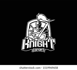 Black and white knight with sword and shield vector