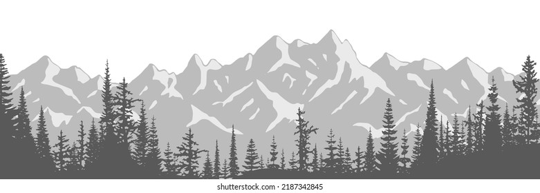 Black and white landscape, spruce forest against the background of snow-capped mountains