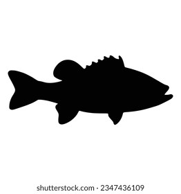 black and white of largemouth bass fish