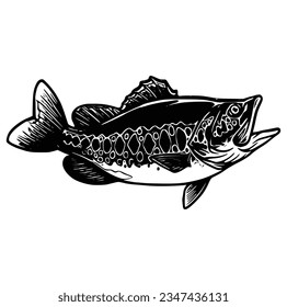 black and white of largemouth bass fish