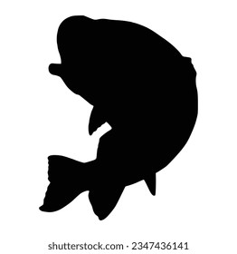 black and white of largemouth bass fish