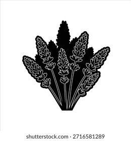 Vector de flor de lavanda blanco y negro. Diseño gráfico de ramo de hierbas aromáticas. Silueta floral para proyectos de aceite esencial, relajación y temática de naturaleza.