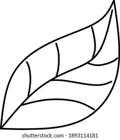 Concepto de hoja blanca y negra. Para el diseño vegetal natural. Vector.