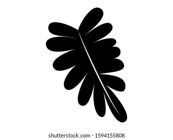 Black and white leaf design
