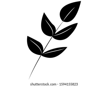 Black and white leaf design