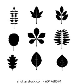 Black and white leaf icon and symbols set. vector illustration.