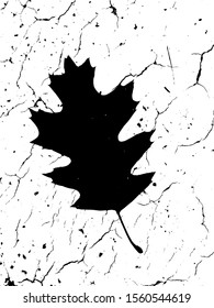 Black and white leaf illustration. Vector leaf.
