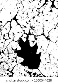 Black and white leaf illustration. Vector leaf.