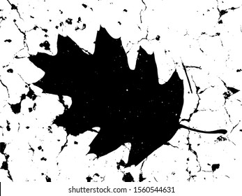 Black and white leaf illustration. Vector leaf.