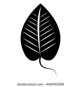 Black and white leaf isolated icon design ecology theme, vector illustration.