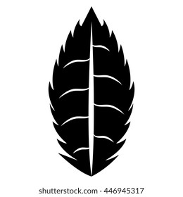 Black and white leaf isolated icon design ecology theme, vector illustration.