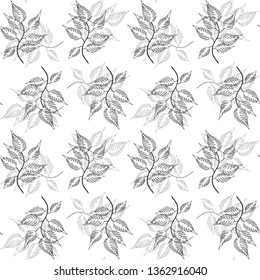 Black and white leaf pattern. Hand drawn branches with leaves seamless background. Vector illustration. 