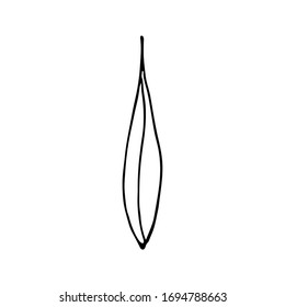 Hoja blanca y negra de una planta, dibujada a mano. Estilo Doodle. Elementos decorativos para el diseño. Aislado sobre fondo blanco.