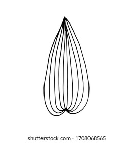 Black and white leaf of a plant, drawn by hand. Doodle style. Decorative elements for design. Isolated over white background.