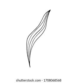 Black and white leaf of a plant, drawn by hand. Doodle style. Decorative elements for design. Isolated over white background.