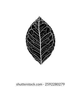 black and white leaf vector illustration