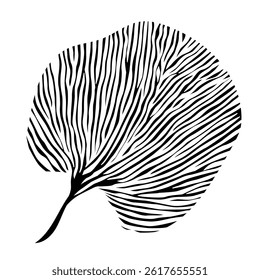 Black and white leaf with veins