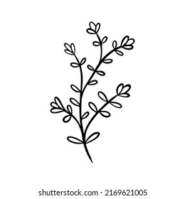  black and white leaves, floral botanical hand drawn vector illustration