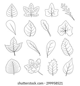 Black and White Leaves Shape Icon Set