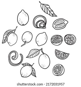 Black and white Lemon icons, lemon logo,isolated on white background. Stock vector illustration.