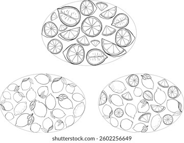 Black and white lemon whole with leaves oval composition set. Vector graphic line ink illustration on transparent background. illustration for package, kitchen design, fabric and textile
