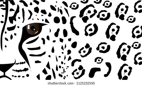 Black and white leopard