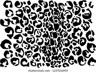 Black and white leopard pattern. Animal skin grunge texture. Vector illustration.