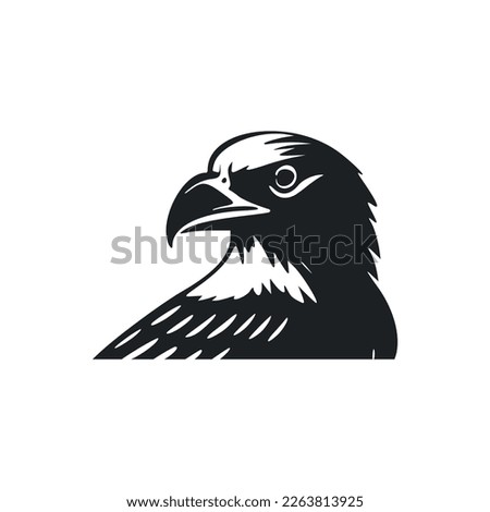 Black and white light logo with nice eagle