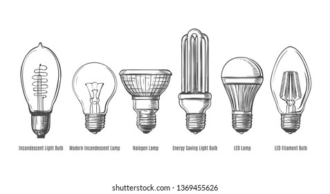 Black and white lightbulbs sketch. Light bulbs evolution retro sketch vector illustration, vintage hand drawn lamps