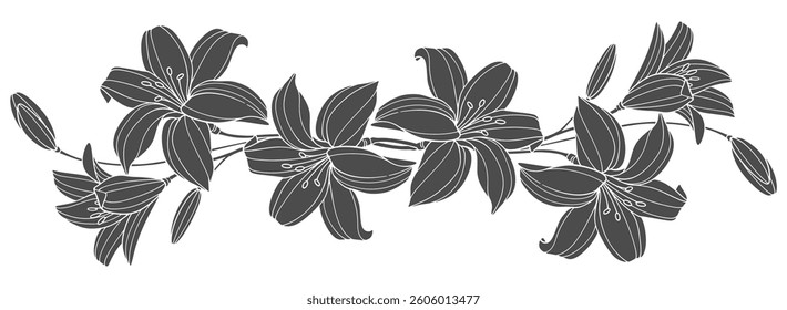 black and white lily flower stencil design vector eps