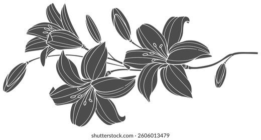 black and white lily flower stencil design vector eps