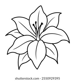 Linha preta e branca de uma flor Amaryllis, com contornos arrojados e detalhes pétalas intrincados.