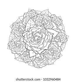 Black and white line art circle roses, coloring book page, hand drawn graphic, vector illustration isolated on white background