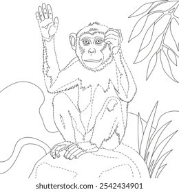 A black and white line art coloring book illustration of a monkey 