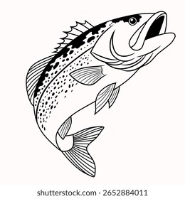 Linha preta e branca arte de um peixe croaker com barbatanas e manchas detalhadas. Perfeito para colorir páginas, educação da vida marinha, ou projetos de design com temas de pesca.