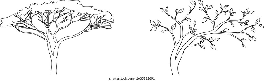 Black and white line art drawings of two distinct trees featuring leaves and branches