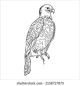 Imagen de águila de arte de línea blanca y negra
