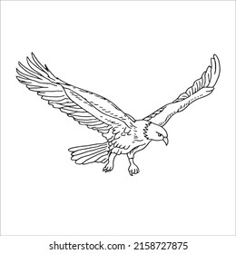 Black and white line art eagle picture