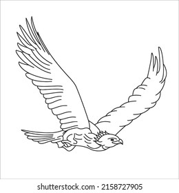 Black and white line art eagle picture