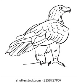 Black White Line Art Eagle Picture Stock Vector (Royalty Free ...