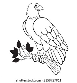 Black and white line art eagle picture