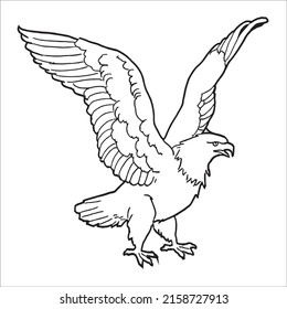 Black and white line art eagle picture